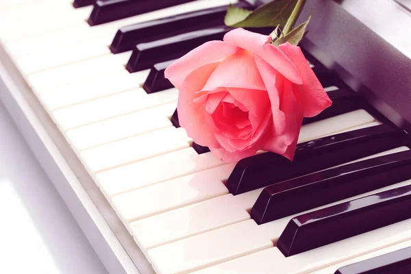 Achtergrond van synthesizer toetsenbord met roos — Stockfoto