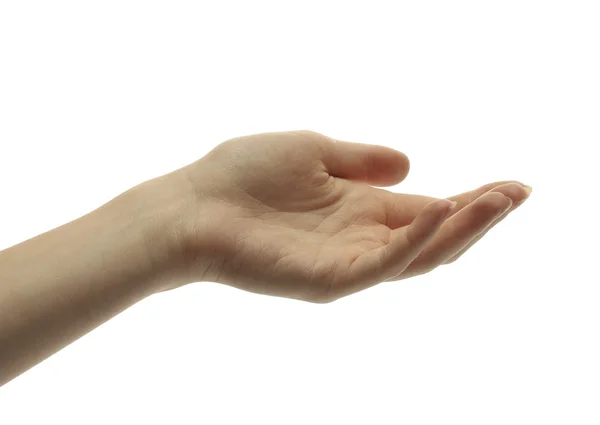 Beyaz izole kadın eli — Stok fotoğraf