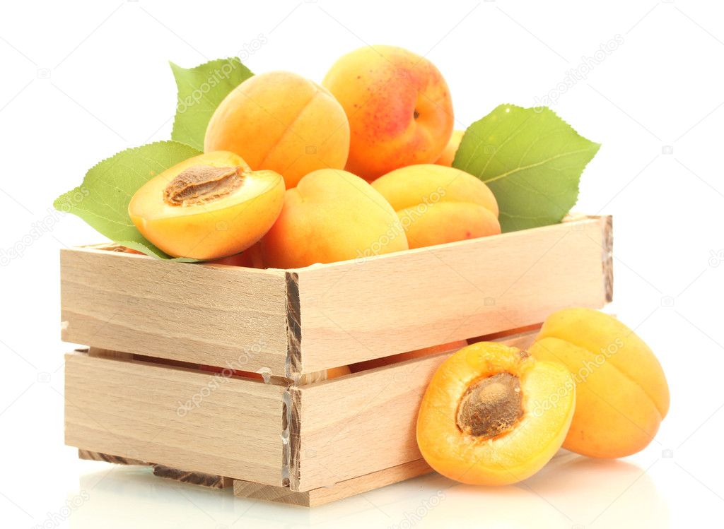 Ripe apricots with green leaves in wooden box isolated on white