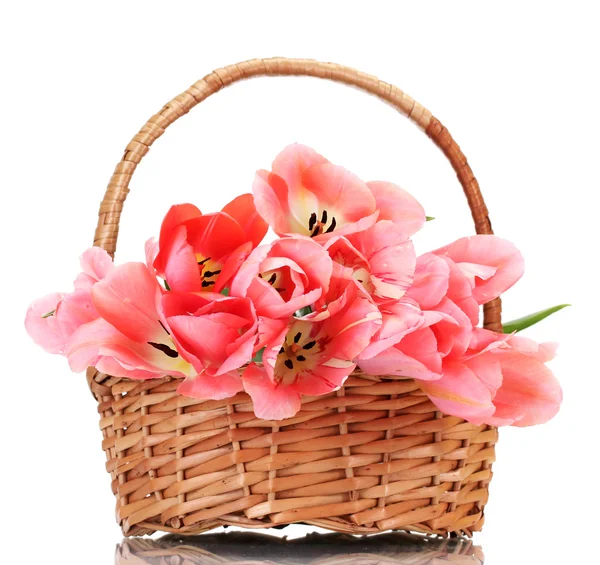 Schöne rosa Tulpen im Korb isoliert auf weiß — Stockfoto