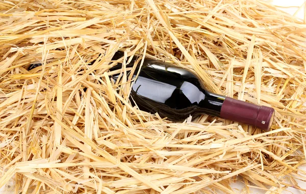 Fles van grote wijn op hooi — Stockfoto