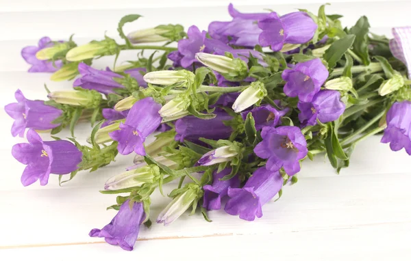 Blue bell květiny na bílém pozadí dřevěná — Stock fotografie