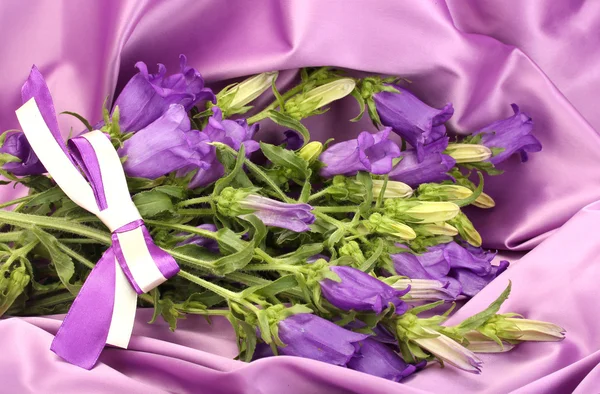 Blaue Glockenblumen auf violettem Seidenstoff — Stockfoto