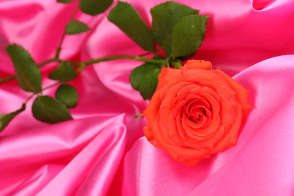 A rózsaszín ruhát gyönyörű Rózsa — Stock Fotó