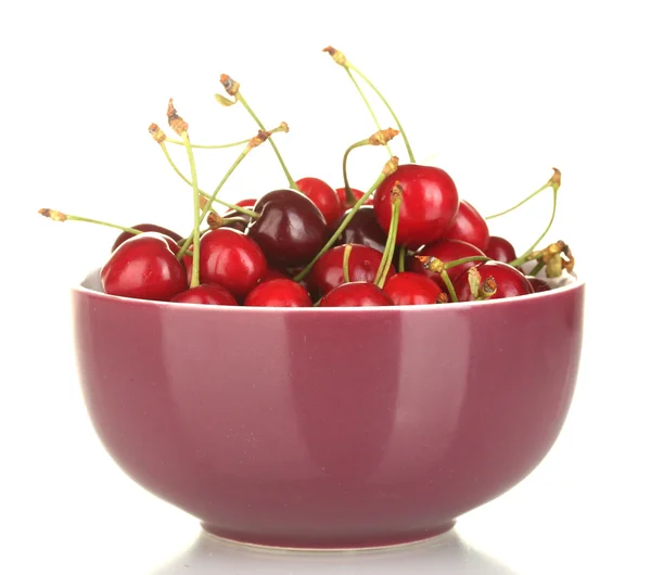 Fresh cherry in violet bowl isolated on white — Stock Photo, Image
