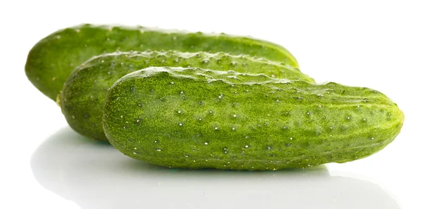 Komkommers geïsoleerd op wit — Stockfoto