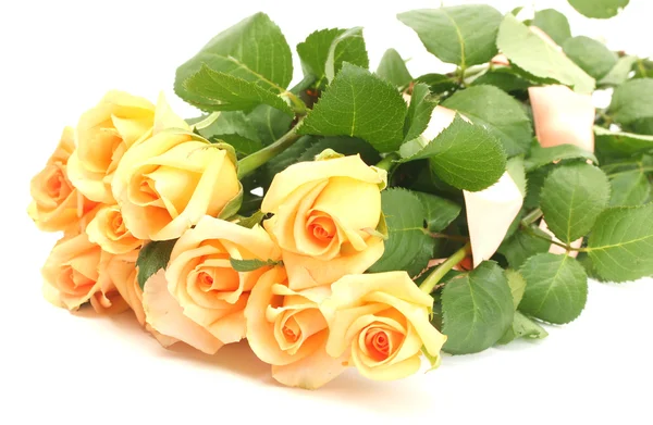 Bellissimo mazzo di rose isolato su bianco — Foto Stock