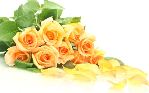 Belo buquê de rosas e pétalas isoladas em branco — Fotografia de Stock
