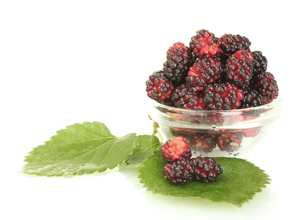 Transparent bowl with ripe mulberries isolated on white close-up — Stock Photo, Image