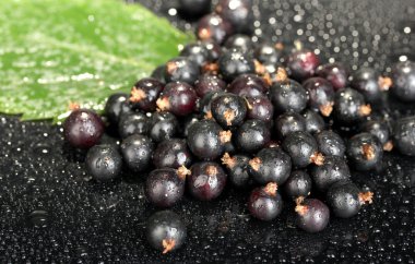arka plan siyah yakın çekim üzerinde taze Siyah frenk üzümü