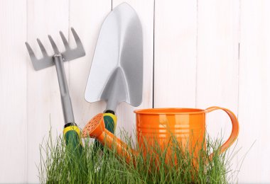 Green grass and garden tools on wooden background clipart