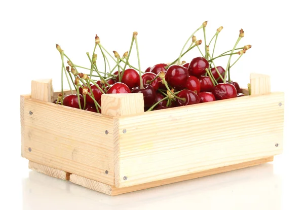 Вишневі ягоди в ящику ізольовані на білому — стокове фото