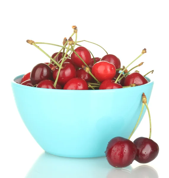 Cherry in a blue bowl isolated on white — Stock Photo, Image