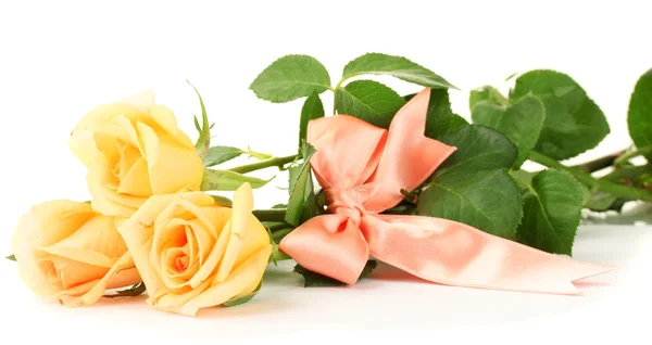 Smuk buket roser isoleret på hvid - Stock-foto