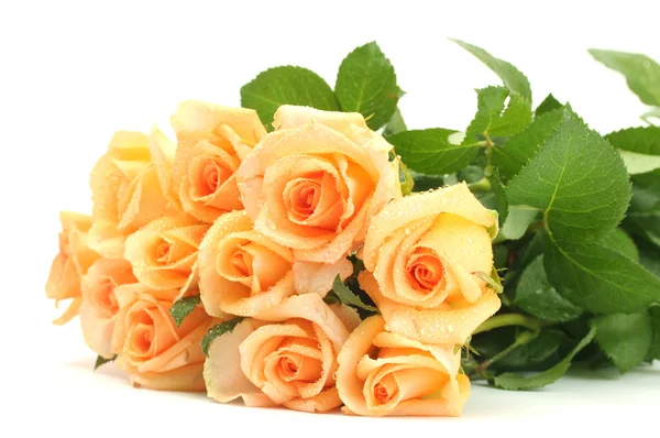 Красивый букет роз, изолированных на белом — стоковое фото
