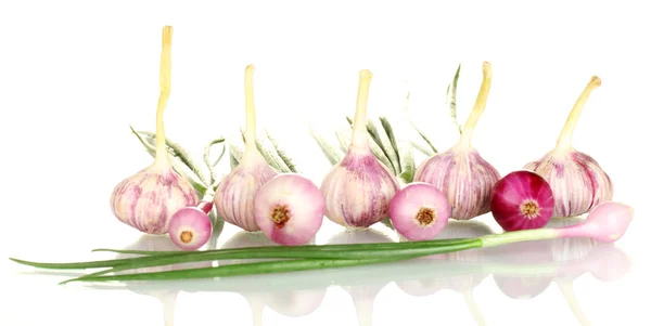 Young onions and garlic isolated on white background close-up — Stock Photo, Image