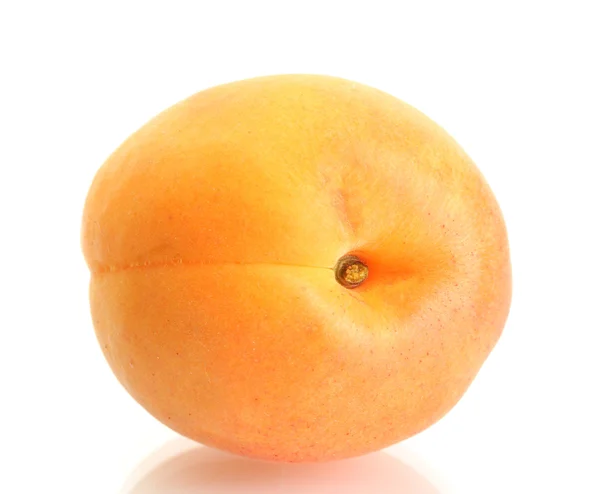 Reife süße Aprikose isoliert auf weiß — Stockfoto