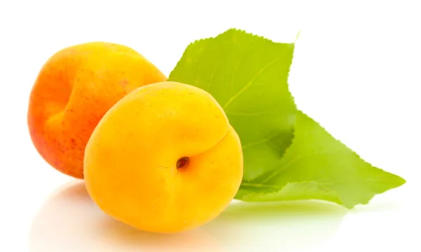 Mogen söt aprikoser med gröna blad isolerad på vit — Stockfoto