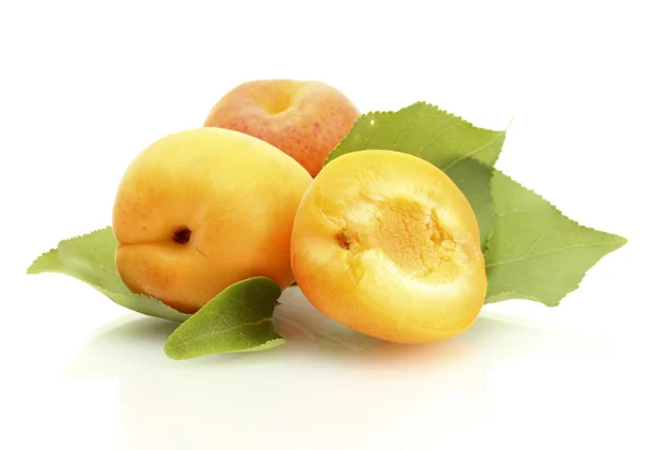 Rijpe zoete abrikozen met groene bladeren geïsoleerd op wit — Stockfoto