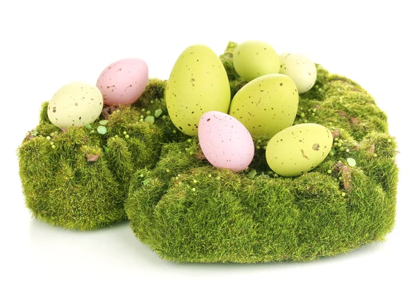 卵を白で隔離される緑の苔 — ストック写真