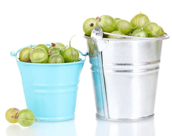 Green gooseberry in metal buckets isolated on white — Stock Photo, Image
