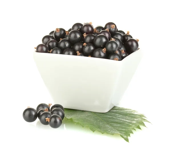 Fresh black currant in white bowl isolated on white — Stock Photo, Image