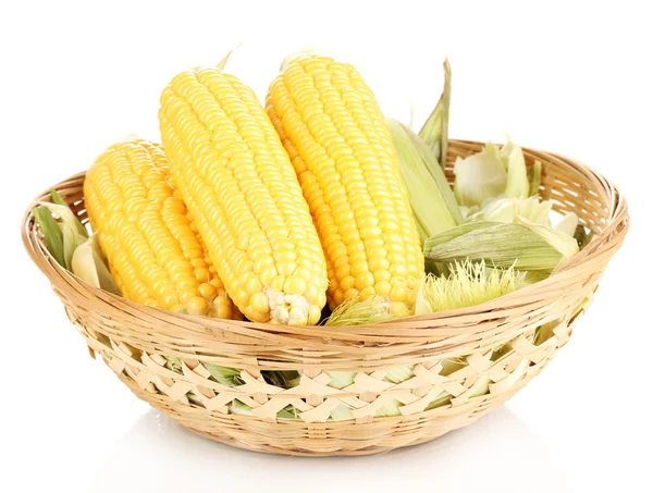 Čerstvé kukuřičné klásky v košíku izolovaných na bílém — Stock fotografie