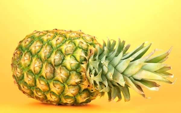 Stock image Pineapple on orange background