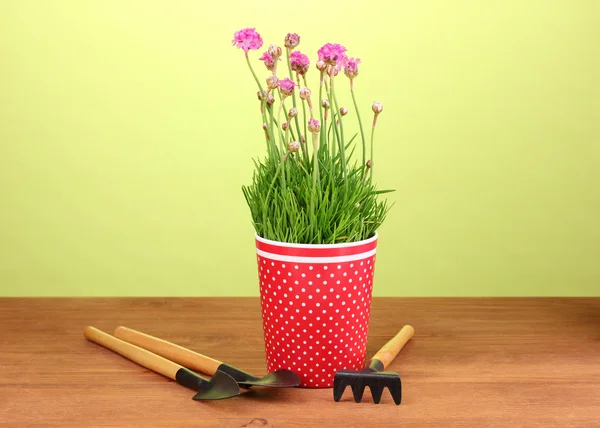 Pink flowers in pot with instruments on wooden table on green background — Stock Photo, Image