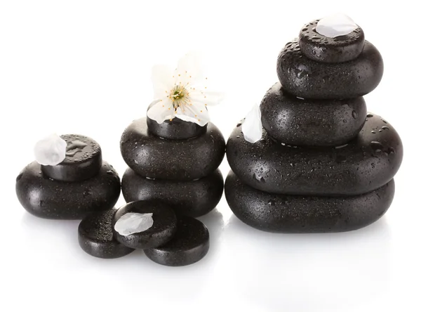 Černá wellness kameny s květy a lístky izolovaných na bílém detail — Stock fotografie