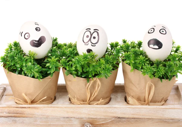Jaja białe z śmieszne twarze na zielone krzewy — Zdjęcie stockowe