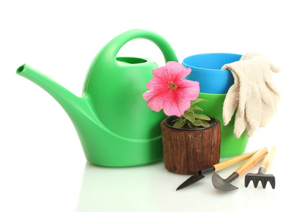 喷壶、 工具和植物在花盆上白色隔离 — 图库照片