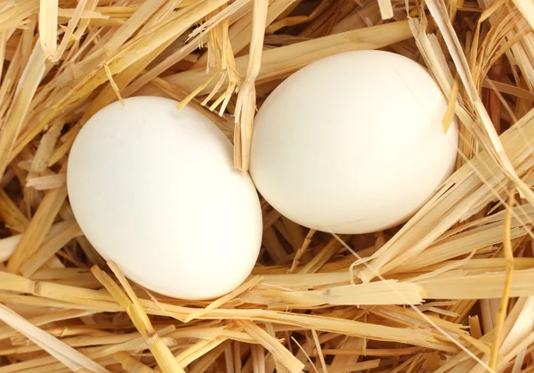 Białe jaja w gnieździe słomy z bliska — Zdjęcie stockowe