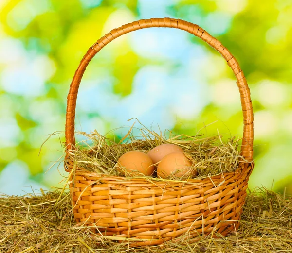 Коричневые яйца в плетеной корзине на сене на зеленом фоне — стоковое фото