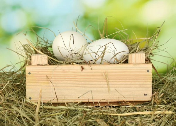 Oeufs blancs dans une boîte en bois sur le foin sur fond vert gros plan — Photo