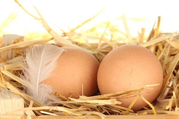 藁のクローズ アップ ホワイト バック グラウンド上に木製の箱で茶色の卵 — ストック写真