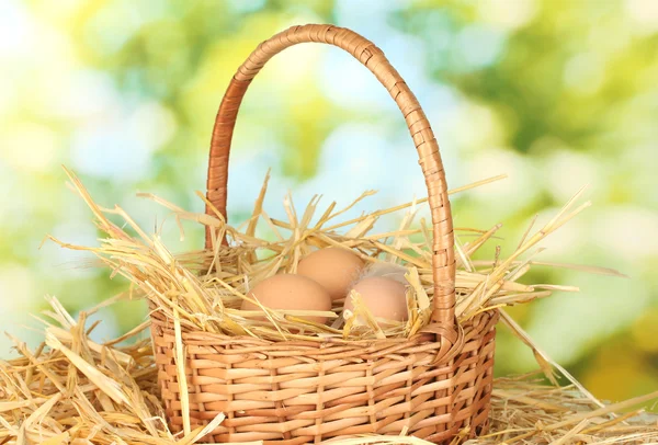 Braune Eier in einem Weidenkorb auf Stroh auf grünem Hintergrund Nahaufnahme — Stockfoto