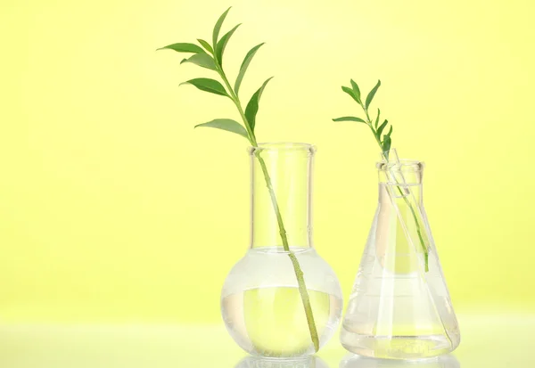 Tubos de ensaio com uma solução transparente e a planta em fundo amarelo close-up — Fotografia de Stock