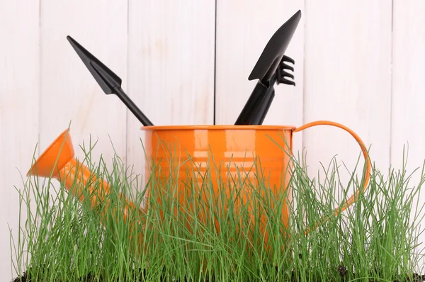 Green grass and garden tools on wooden background — Stock Photo, Image
