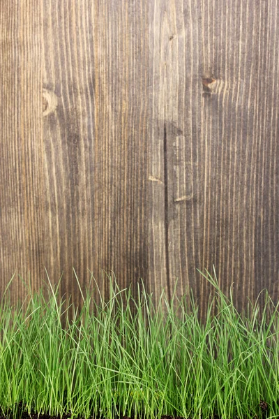 木制背景上的绿草 — 图库照片