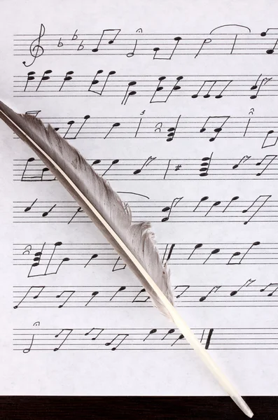 Musical notes and feather close-up — Stock Photo, Image