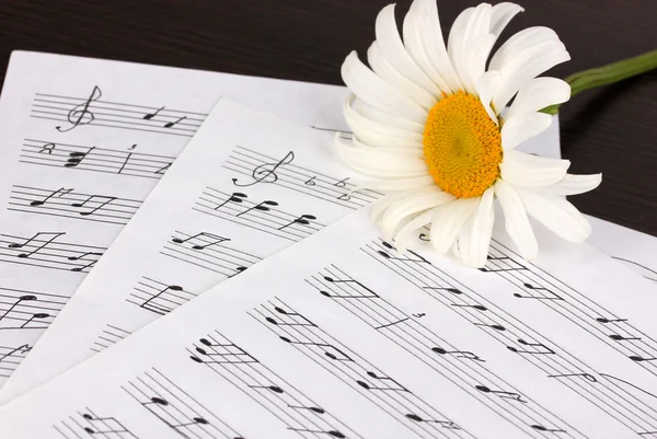 Музыкальные ноты и цветы на деревянном столе — стоковое фото