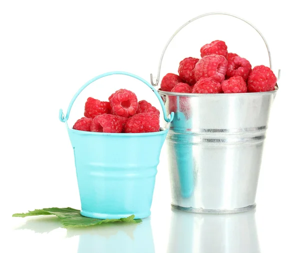 新鲜树莓在水桶上白色隔离 — 图库照片