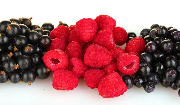 Fresh berries on white background close-up — Stock Photo, Image