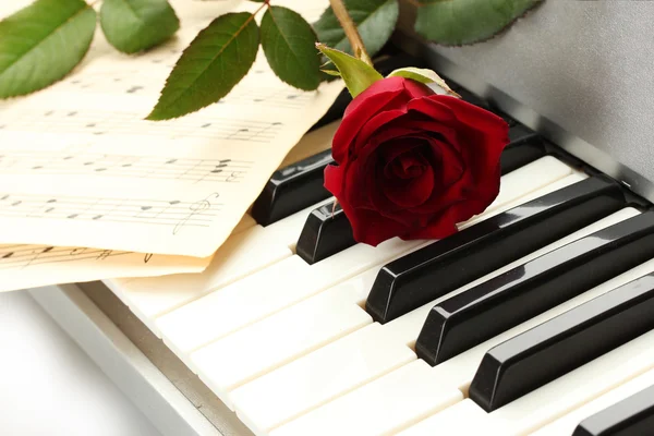Fondo del teclado de piano con rosa — Foto de Stock