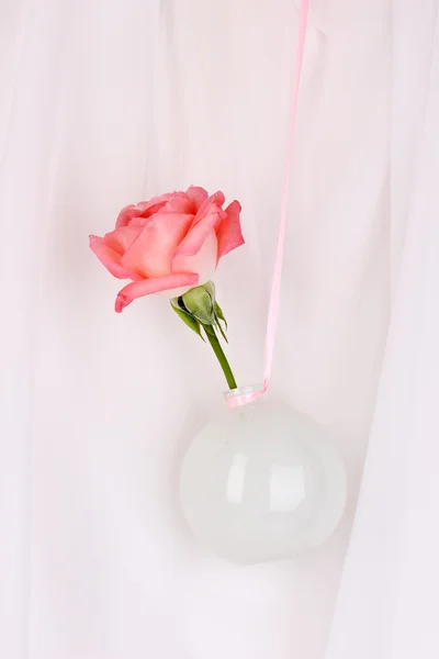 Прекрасна троянда у вазі, що звисає на тканинному фоні — стокове фото
