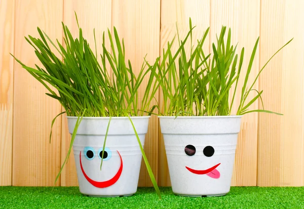 A pots of grass on wooden background — Stock Photo, Image