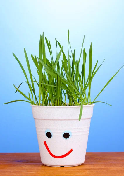 Hrnec trávy na modrém pozadí — Stock fotografie