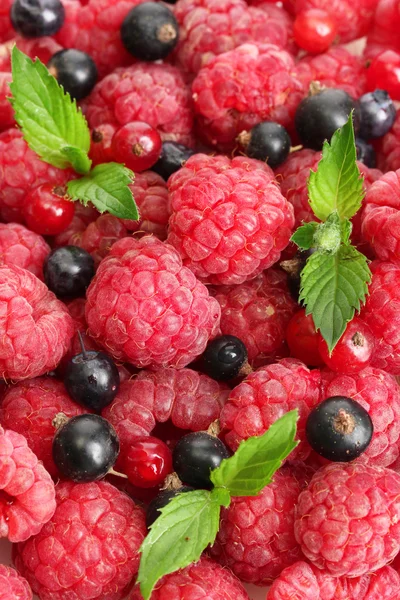 Ripe berries with mint, close up — Stock Photo, Image