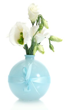 Beautiful spring flowers in vase isolated on white clipart